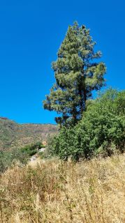 2023-04-GranCan-Guayadeque-068.jpg